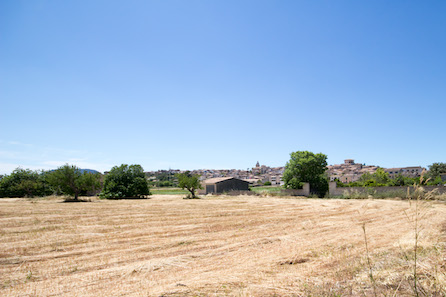 Montuiri