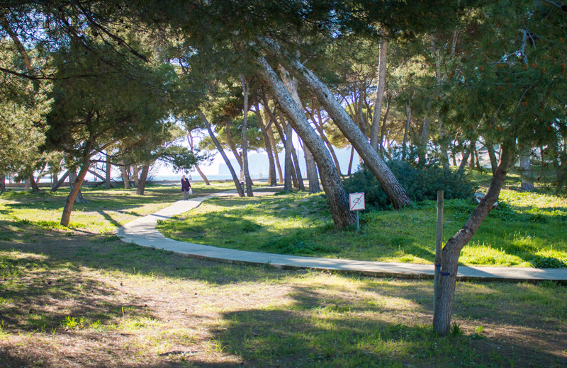 Santa Ponsa