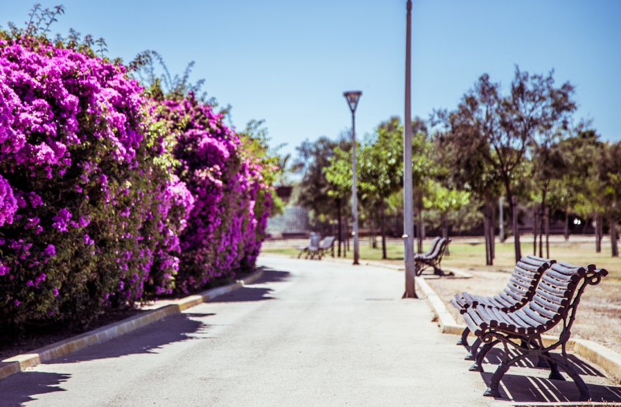 Ciudad Jardín