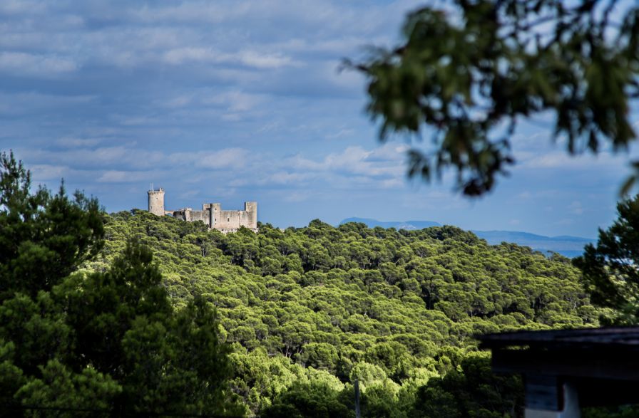 Génova