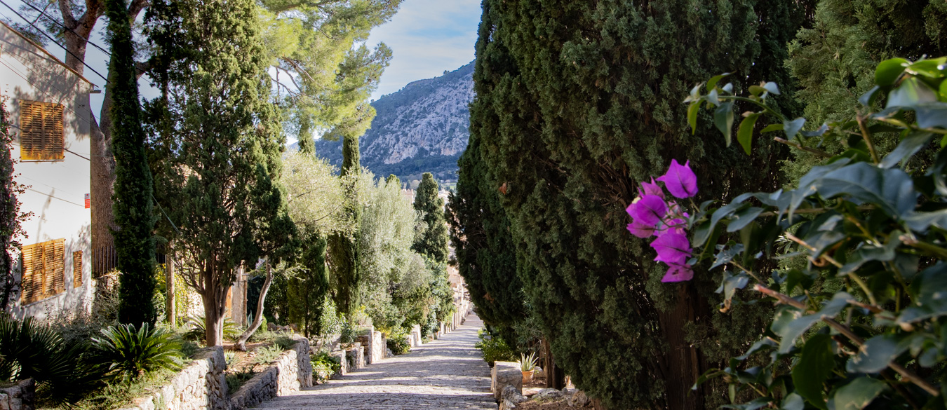 Pollensa/Puerto Pollensa