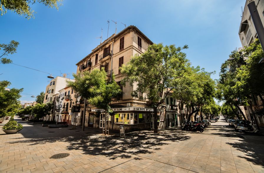 Santa Catalina